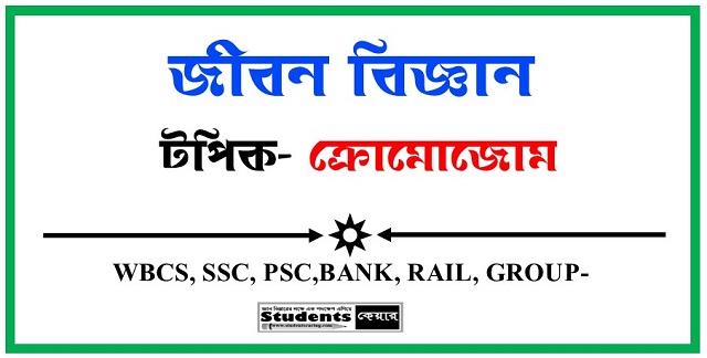 ক্রোমোজোম কাকে বলে